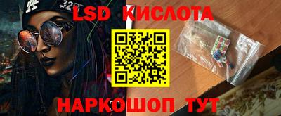 гидра Будённовск