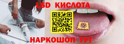 гидра Будённовск