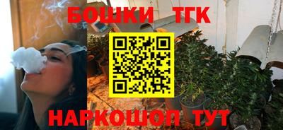 гидра Будённовск