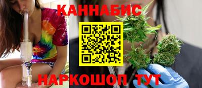гидра Будённовск