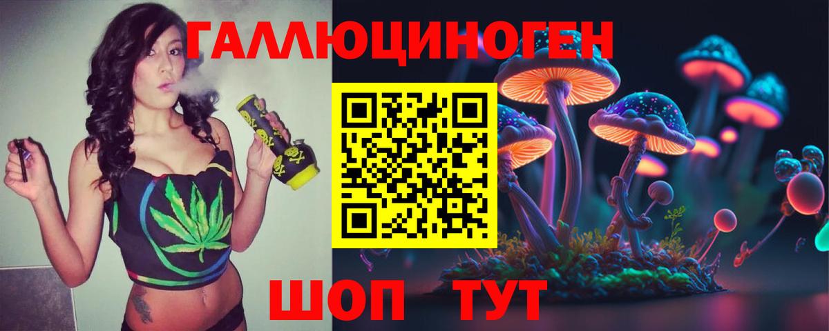 Псилоцибиновые грибы Psilocybine cubensis Салехард