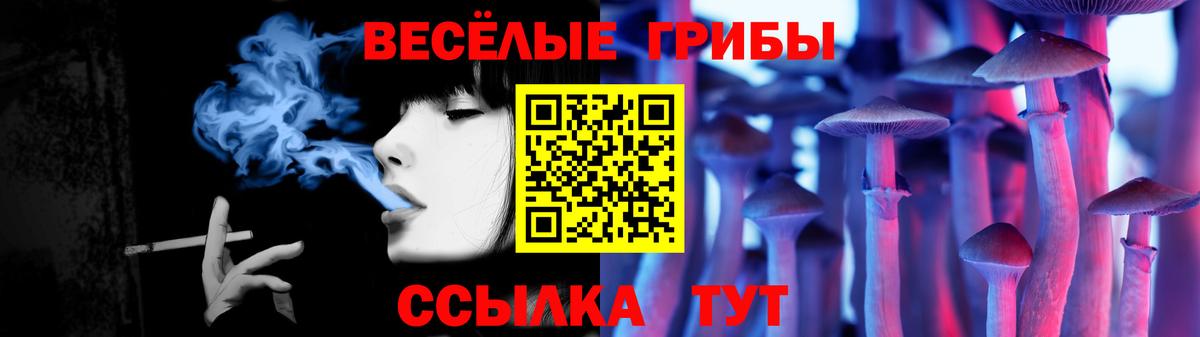 где найти   Псилоцибиновые грибы ЛСД  Вход с VPN  Салехард  Галлюциногенные грибы Psilocybe 