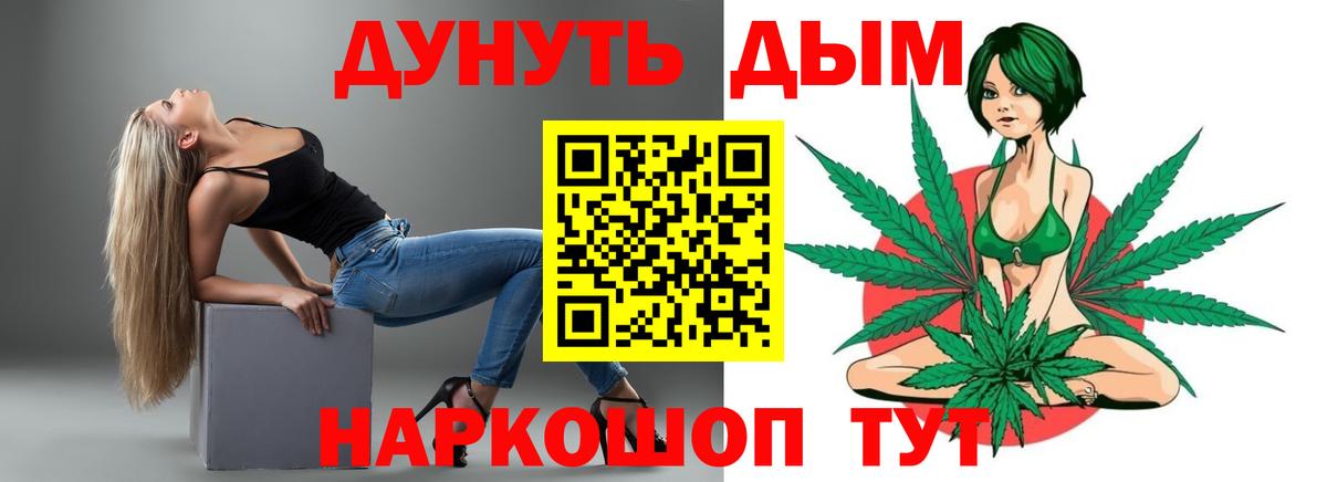 Каннабис сатива Салехард